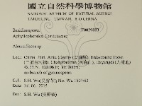 盤革菌屬藏品圖，第2張