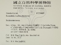 登錄號:F0029885藏品圖，第2張