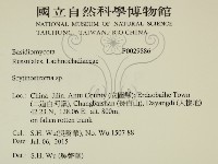 登錄號:F0029886藏品圖，第2張