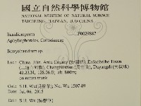 登錄號:F0029887藏品圖，第2張