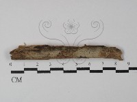 登錄號:F0029887藏品圖，第1張