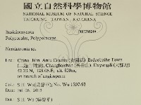 登錄號:F0029888藏品圖，第2張