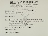 絲皮菌屬藏品圖，第2張