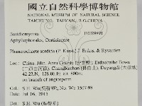 登錄號:F0029891藏品圖，第2張