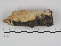 登錄號:F0029891藏品圖，第1張