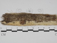 登錄號:F0029893藏品圖，第1張