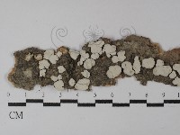 登錄號:F0029894藏品圖，第1張