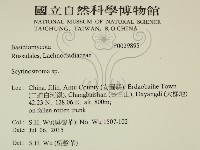 登錄號:F0029895藏品圖，第2張