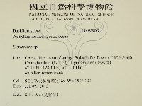 登錄號:F0029897藏品圖，第2張