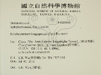 登錄號:F0029898藏品圖，第2張