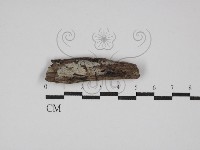 登錄號:F0029898藏品圖，第1張
