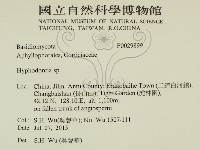 絲齒菌屬藏品圖，第2張