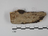 登錄號:F0029900藏品圖，第1張