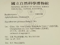 登錄號:F0029902藏品圖，第2張