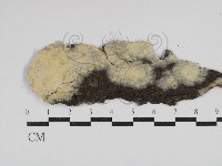 登錄號:F0029902藏品圖，第1張