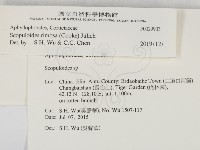 登錄號:F0029903藏品圖，第2張