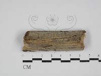 登錄號:F0029903藏品圖，第1張