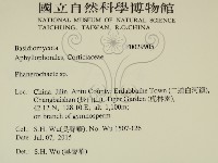 顯絲菌屬藏品圖，第2張