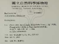 登錄號:F0029906藏品圖，第2張