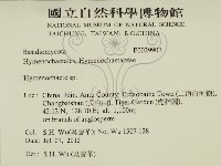 刺革菌屬藏品圖，第2張