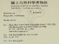 登錄號:F0029909藏品圖，第2張