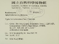 登錄號:F0029910藏品圖，第2張