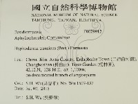 登錄號:F0029912藏品圖，第2張