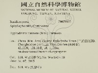 登錄號:F0029913藏品圖，第2張