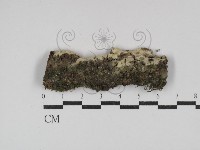 登錄號:F0029915藏品圖，第1張