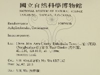 登錄號:F0029916藏品圖，第2張