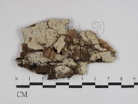 登錄號:F0029916藏品圖，第1張