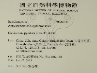 登錄號:F0029918藏品圖，第2張