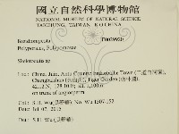 骨皮菌屬藏品圖，第2張