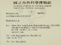 絲齒菌屬藏品圖，第2張