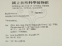 登錄號:F0029922藏品圖，第2張