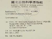 刺革菌屬藏品圖，第2張