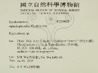 絲皮菌屬藏品圖，第2張