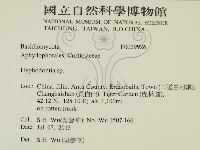 絲齒菌屬藏品圖，第2張