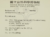 絲皮菌屬藏品圖，第2張