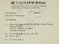 附毛菌屬藏品圖，第2張