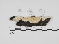 登錄號:F0029932藏品圖，第1張