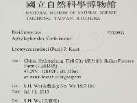 登錄號:F0029933藏品圖，第2張