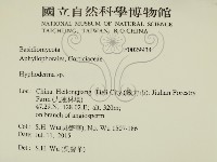 絲皮菌屬藏品圖，第2張