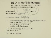 登錄號:F0029935藏品圖，第2張