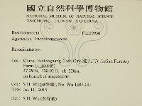 登錄號:F0029936藏品圖，第2張