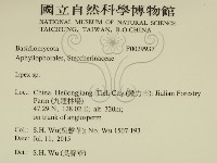 耙菌屬藏品圖，第2張