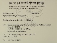 登錄號:F0029938藏品圖，第2張