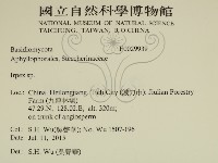 耙菌屬藏品圖，第2張