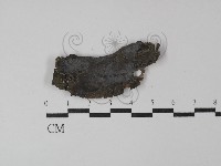 登錄號:F0029943藏品圖，第1張