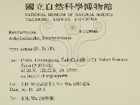 登錄號:F0029946藏品圖，第2張